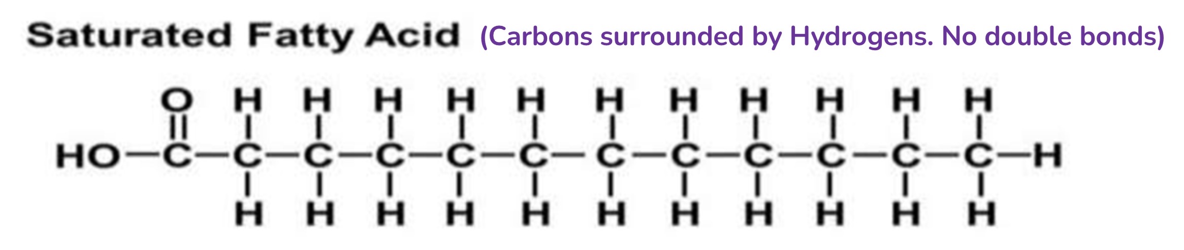 <p>C surrounded by H. No double bonds</p>