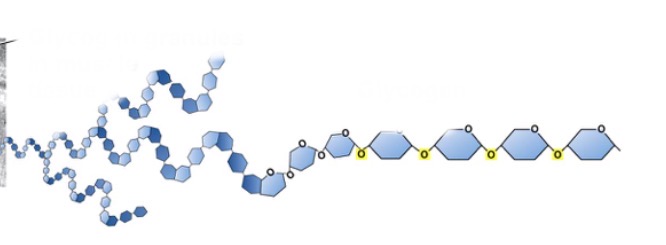 <p>What is this?</p>