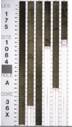 <ul><li><p><strong>316.3-325.9 mbsf</strong></p></li><li><p>olive (5Y 4/3)</p><ul><li><p>Diatom-bearing nannofossil clay</p></li><li><p>Section 1, 90 cm, to section 3, 65 cm; section 4, 15 cm, to the end of the core</p></li></ul></li><li><p>dark olive gray (5Y 3/2)</p><ul><li><p>foraminifer-bearing diatomaceous clayey nannofossil ooze</p></li></ul></li><li><p>Name:</p><ul><li><p>Least Abundant first</p><ul><li><p>“Bearing” = 5-10%</p></li></ul></li><li><p>Most abundant last</p><ul><li><p>ooze = &gt;60% biogenic</p></li></ul></li></ul></li></ul><p></p>
