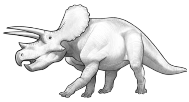 <p>Ceratopsians</p>