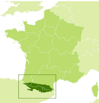 term image
