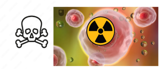 <p>def. the death of irradiated cells before the cells reach mitosis</p>
