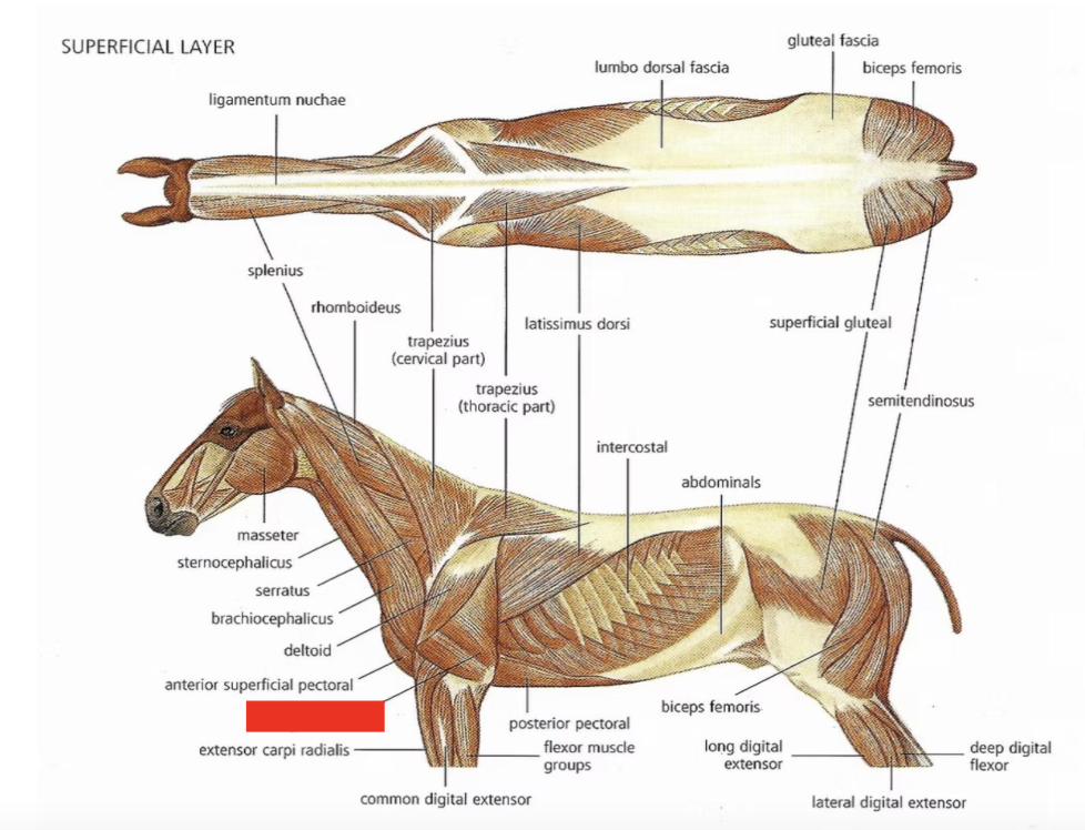 <p>What is this?</p>