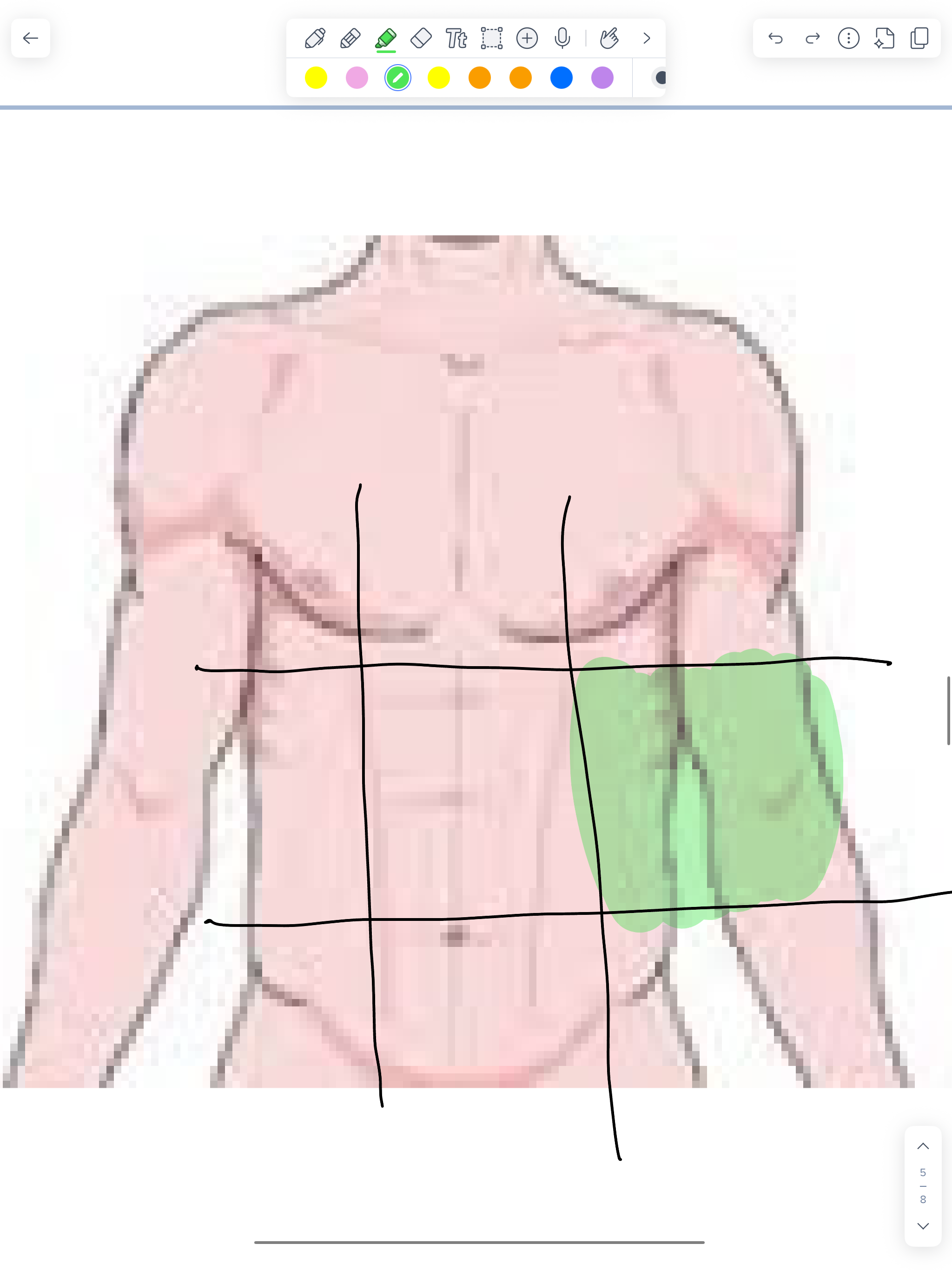 term image