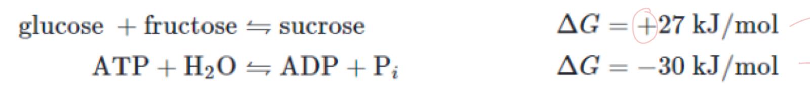 <p>what is this second reaction called </p>