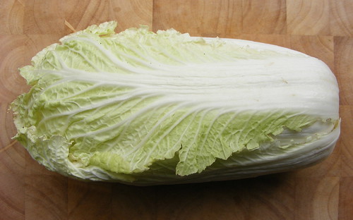 an oblong, rectangular shape with rounded corners where leaves branch out. It has white stems and green leaves on the outside, which eventually turn into a yellow-leafed center.