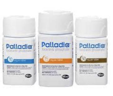 <p>palladia</p><p>mitoxantrone</p><p>doxorubicin</p><p>carboplatin</p>
