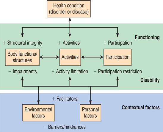 <ul><li><p><span style="color: purple">portrays health and function in a complex and multidimensional model, consisting of 6 components in 2 domains</span></p></li><li><p><span style="color: purple">used to reflect potentially needed health services, environmental adaptations, or guidelines that can maximize function for individuals or create advantageous community services</span></p></li><li><p><span style="color: purple">useful for health promotion, prevention of illness and disability, and for the development of relevant research outcomes</span></p></li><li><p><span style="color: purple">acknowledges occupations are at the heart of person’s health</span></p></li></ul><p></p>