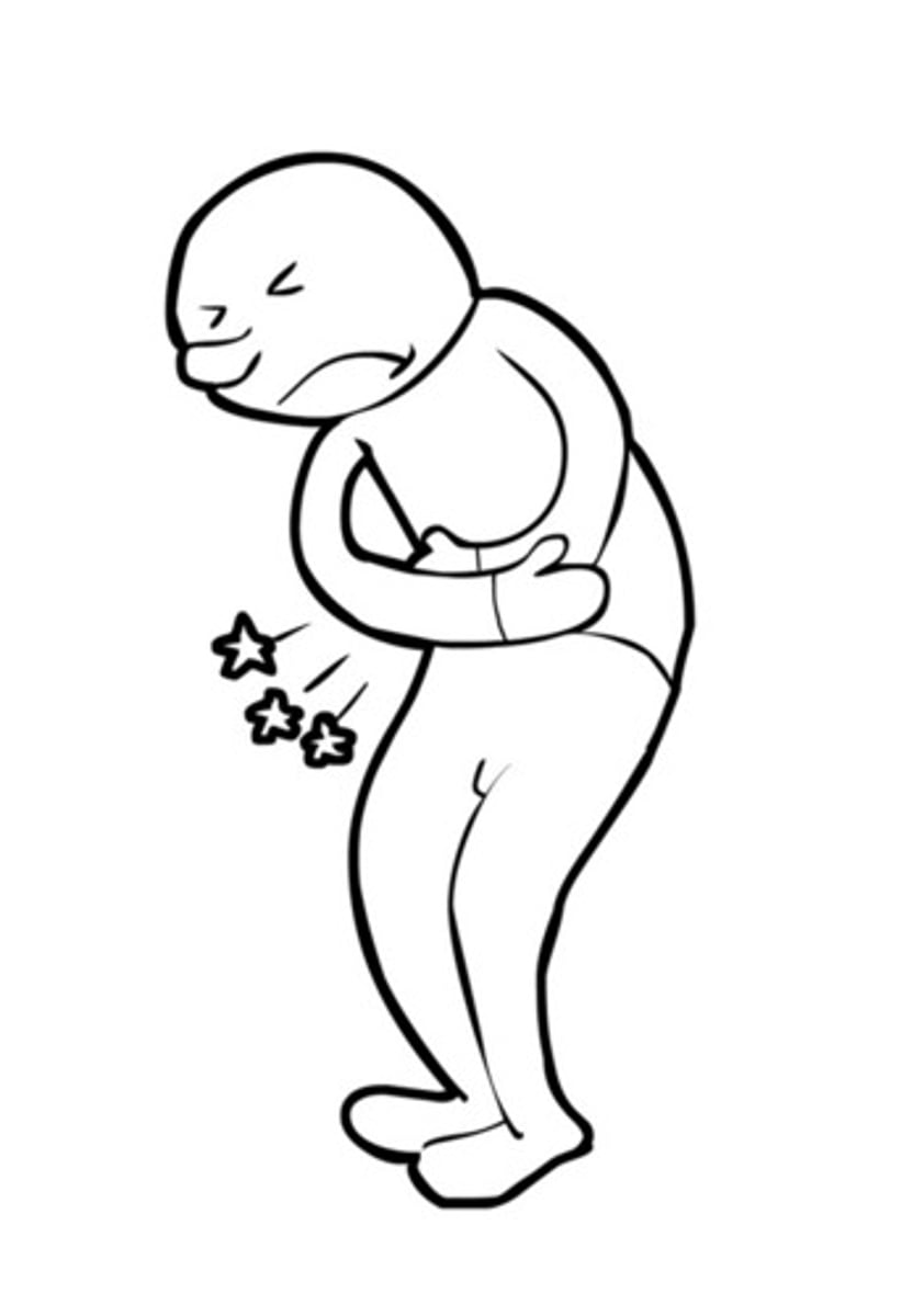<p>stomach cramp, abdominal spasm, gastric spasm</p>