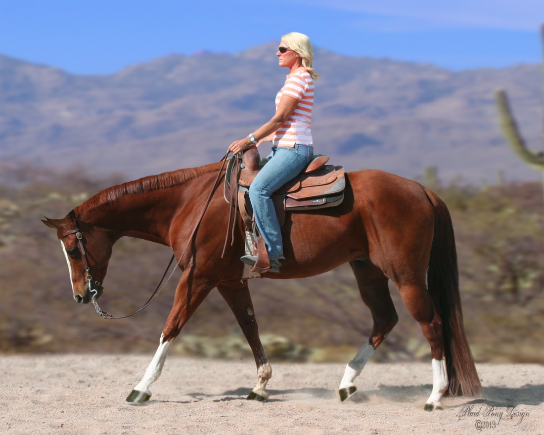<p>picture of a sorrel horse</p>