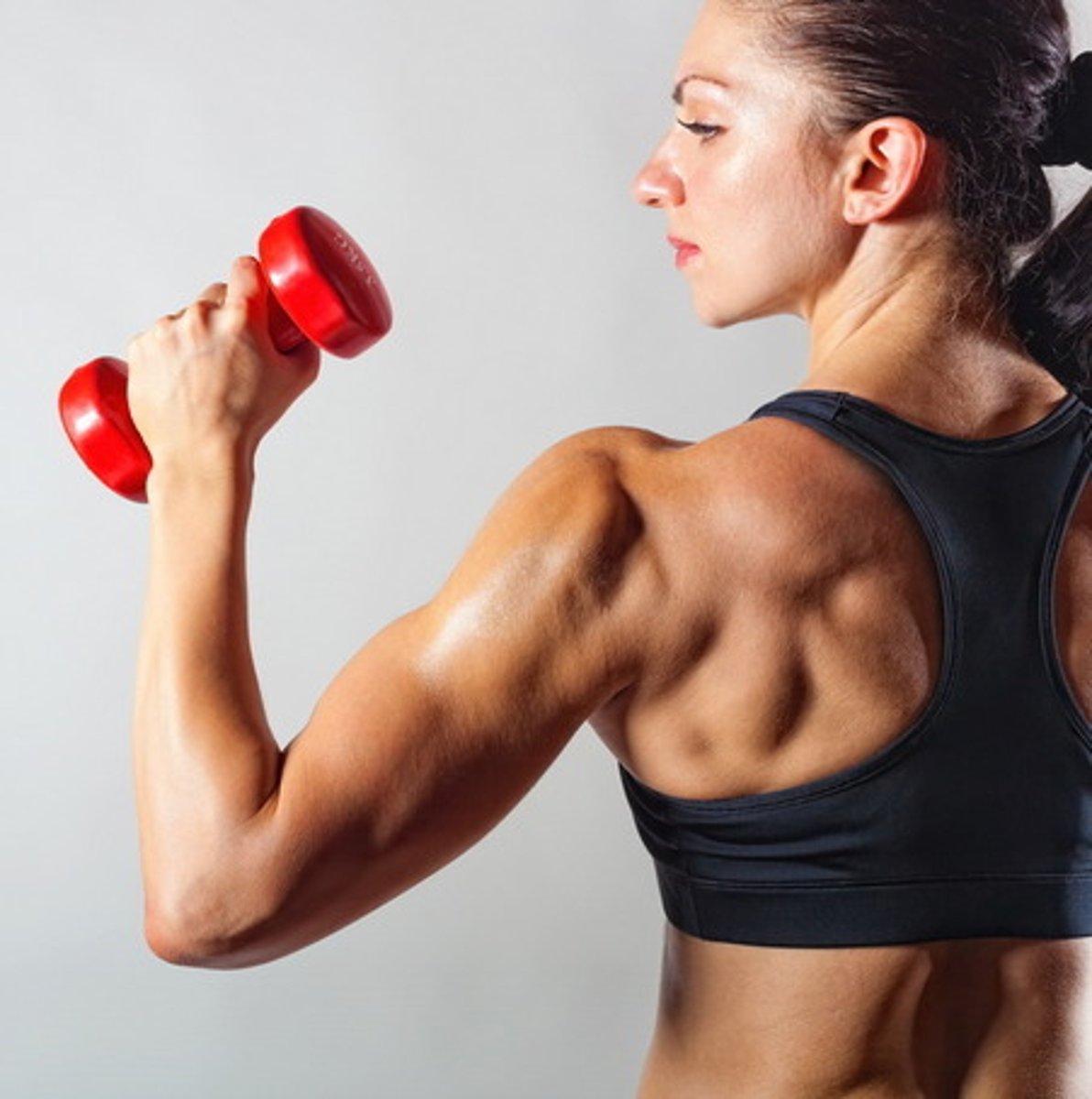 <p>Can be shunted (pulled from) into general circulation for use by vigorously working muscle and/ or other body organs</p>