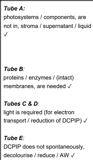 <p>2) </p><ul><li><p>maintains optimum pH for enzymes</p></li></ul><ul><li><p>no need to prevent damage to chloroplasts</p><p>/ damage to chloroplasts increases access of DCPIP to (reaction) components</p></li></ul><p></p><p></p>