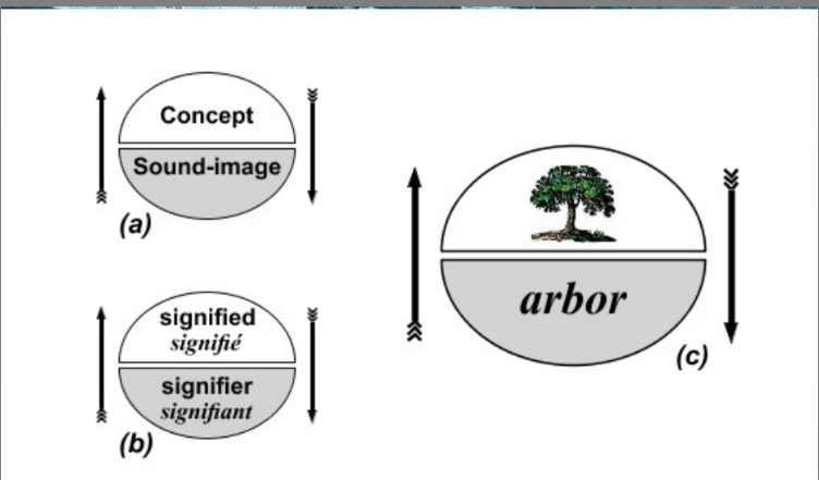 <p>Binary combinations of <strong>form </strong>(letters/sounds) and <strong>meaning </strong>(concepts).</p><p>Words are: 1 arbitrary, 2 conventional, 3 associative</p>
