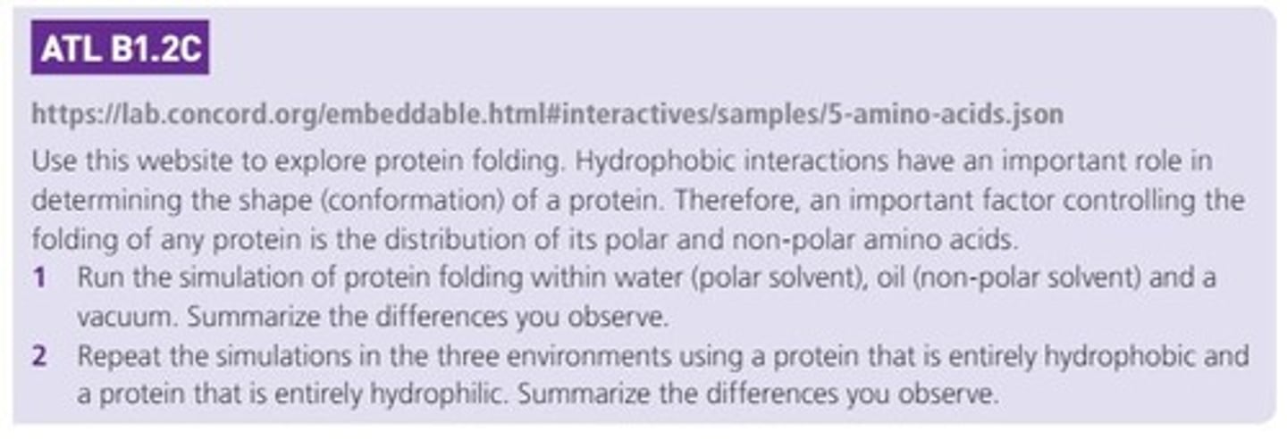 <p>Non-polar side chains cluster to avoid water.</p>