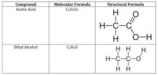 <p>A () formula indicates the number and types of atoms in a molecule; a () formula has a line to represent each pair of shared electrons.</p>