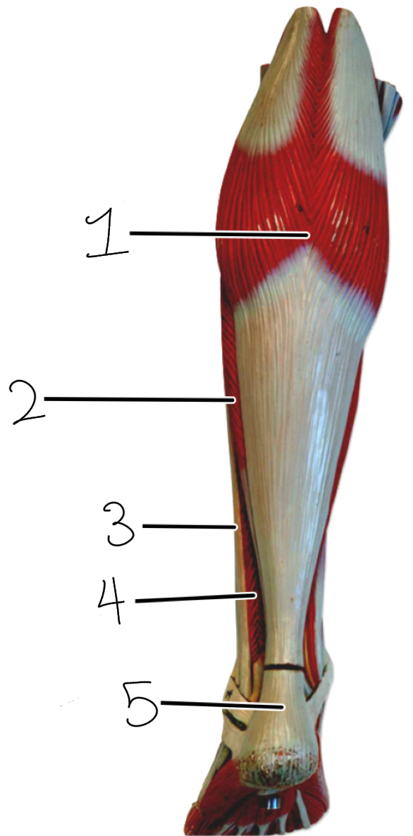 <p>1</p>