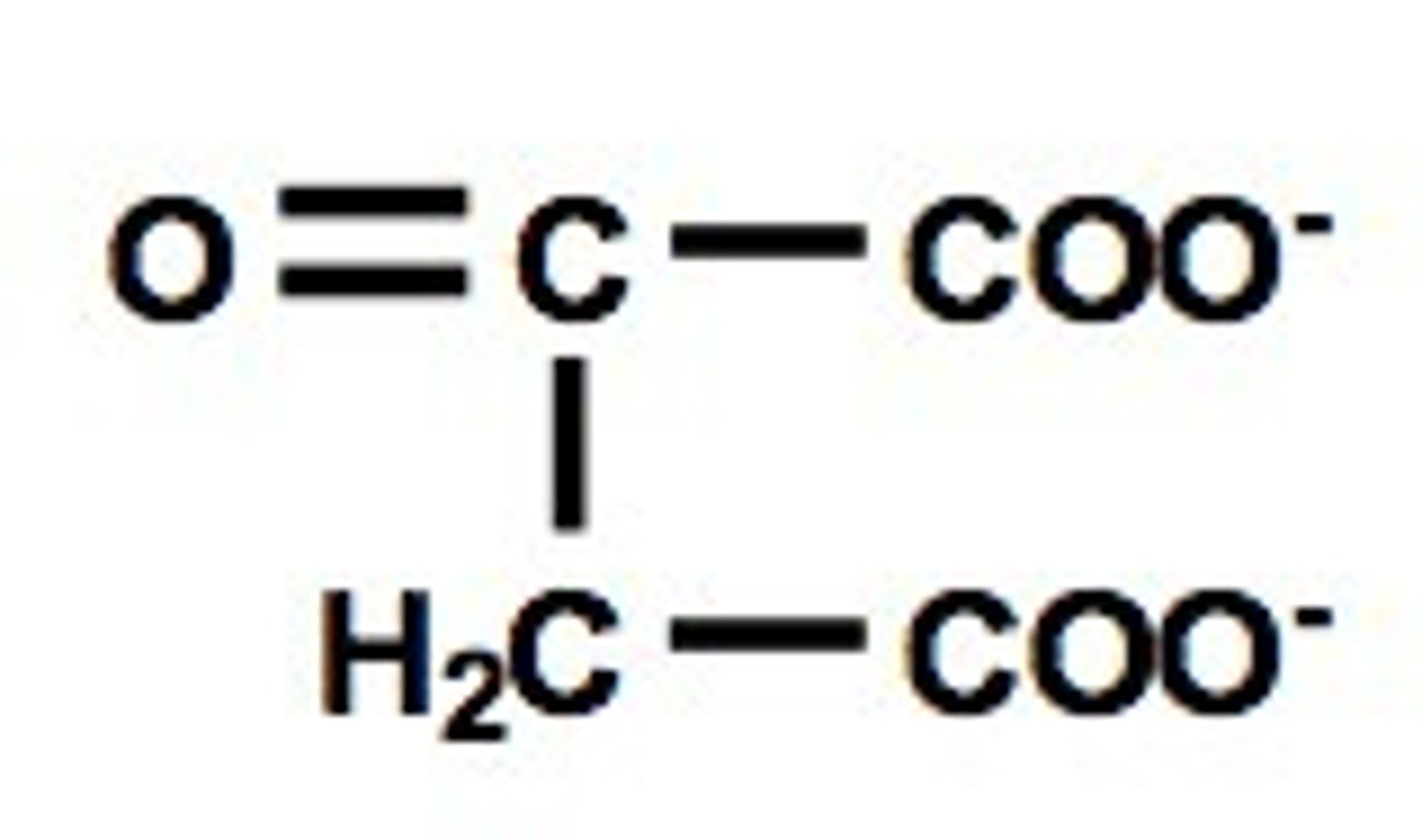 <p>What molecule is this?</p>