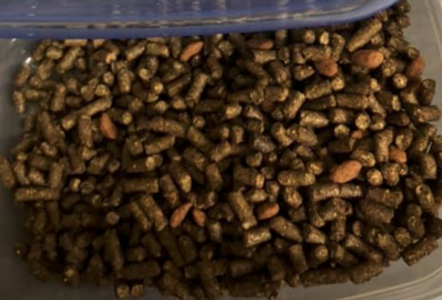 <p>- complete feed</p>