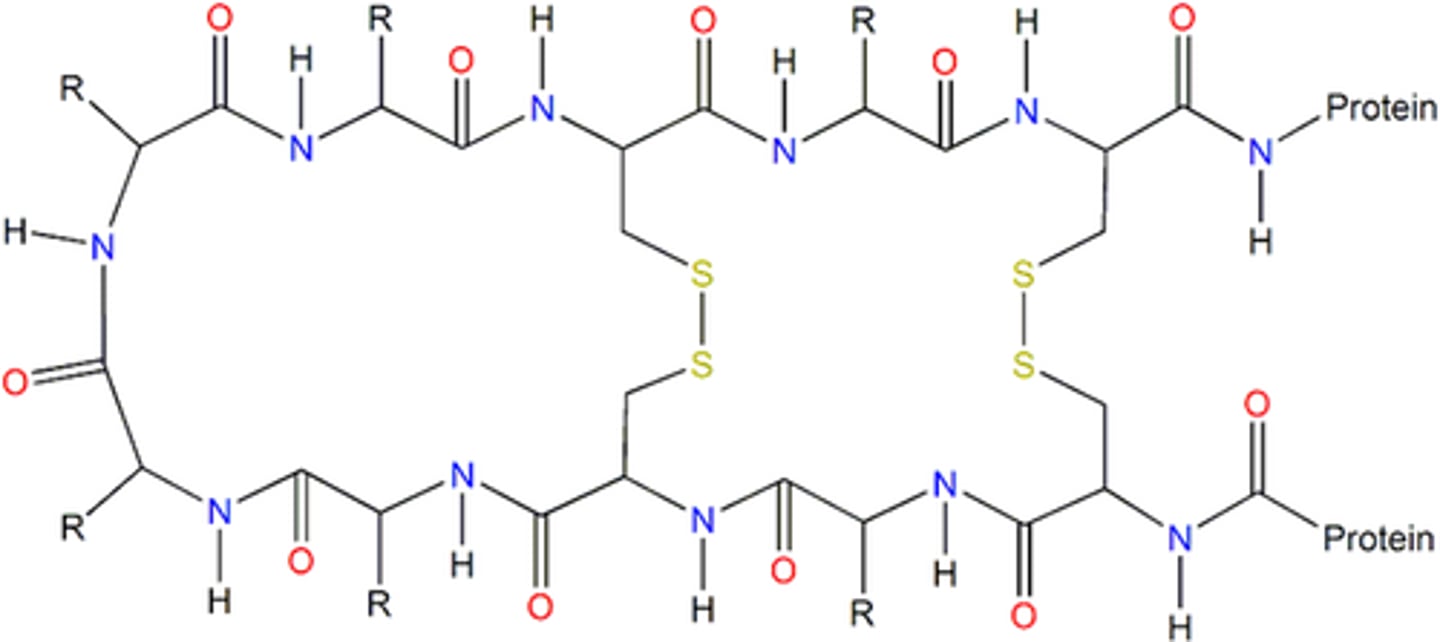 <p>Reinforce tertiary structure.</p>