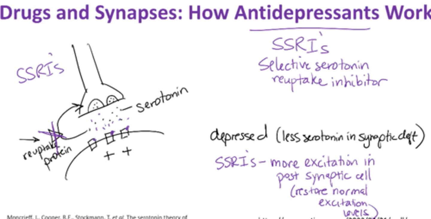 <p>block reuptake of serotonin and norepinephrine</p><p>Depression → less serotonin in synaptic cleft</p><p>Selective serotonin reuptake inhibitor (SSRIs) – </p><p>-blocks serotonin inhibitor </p><p>-more excitation in postsynaptic cell; </p><p>-leaves more neurotransmitter in synaptic cleft </p><p>-restores normal excitation levels</p>