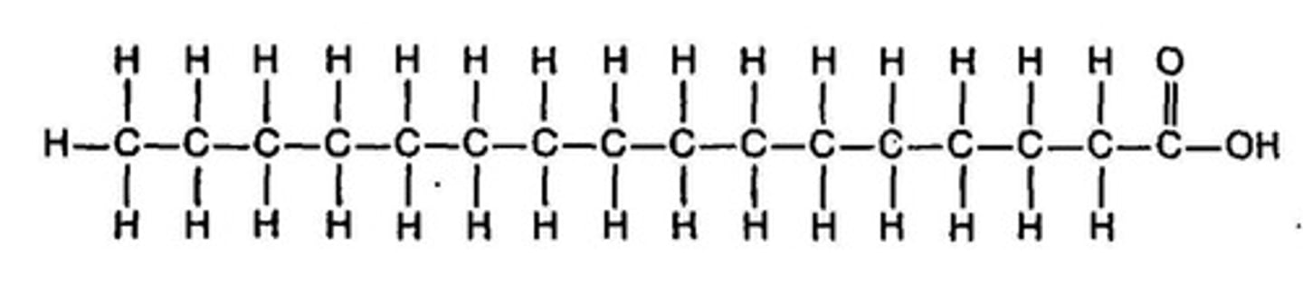 <p>-tails are relatively straight</p><p>-packing of phospholipids is tight</p><p>-higher melting point (more heat for them to separate</p>