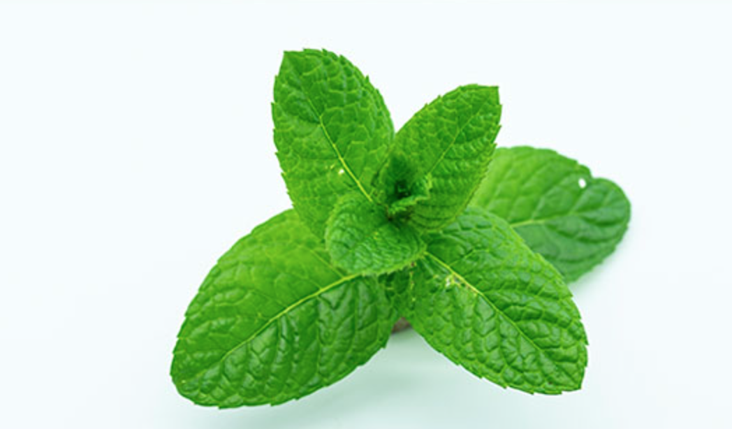<p>(n.) – a plant whose leaves are used to add flavor to food and drinks</p><p></p><p>&nbsp;I love the fresh smell of <strong>mint</strong>. I like to put it in my tea.</p><p></p>