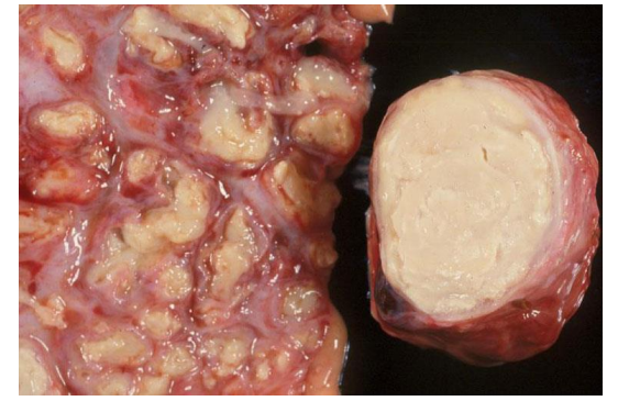 <p>What is this?</p>