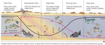 <p><span>The oxygen sag curve </span>illustrates how dissolved oxygen levels in a river decrease as a result of pollution, particularly the discharge of organic waste, and then gradually recover downstream</p>