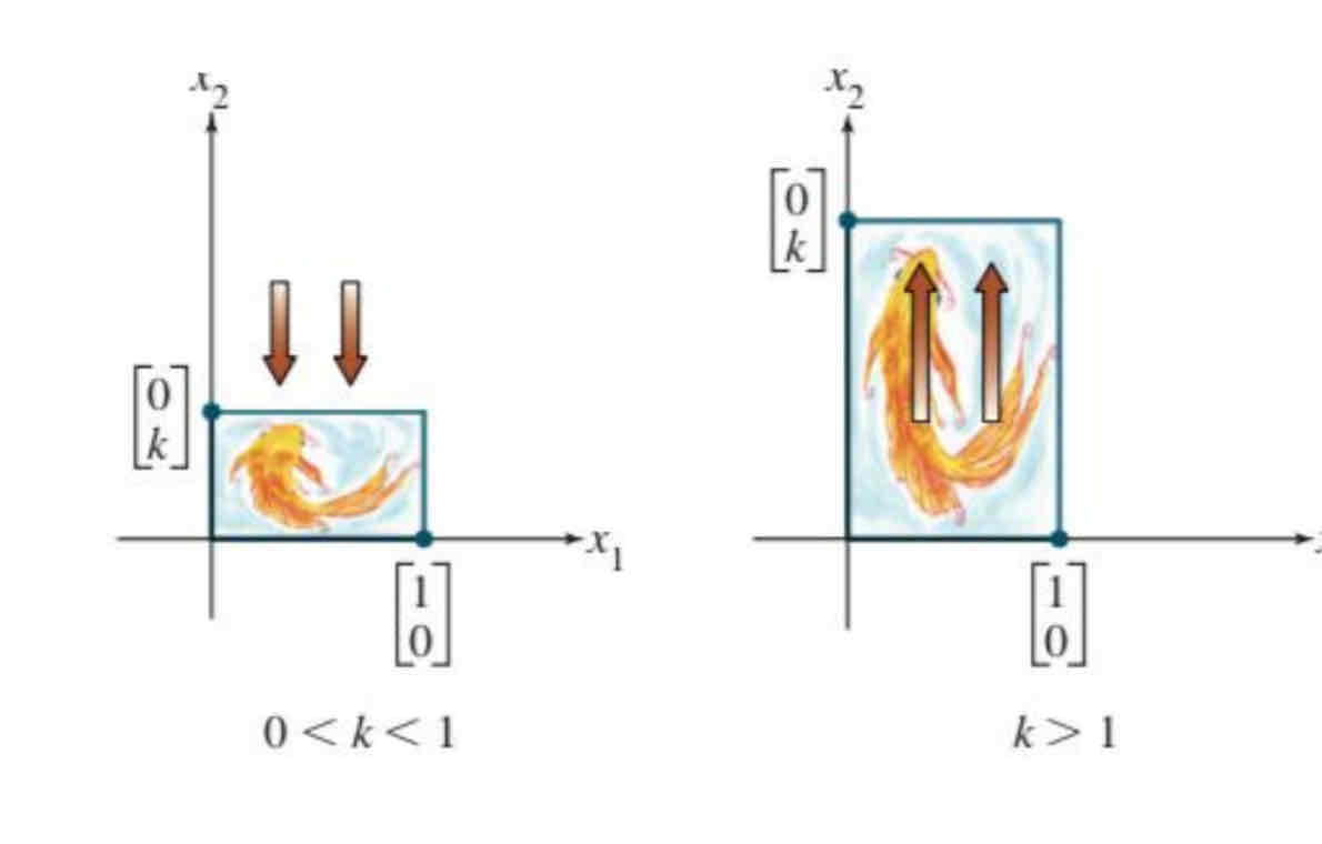 <p>Vertical contraction and expansion </p>