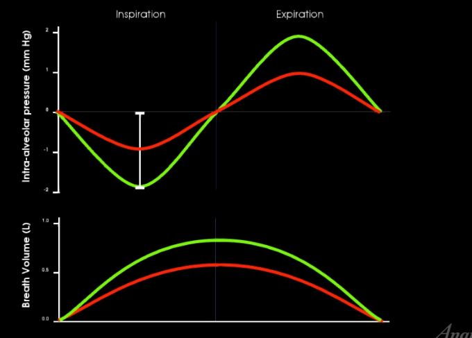 <p>Which is quiet breathing and which is forced breathing?</p>