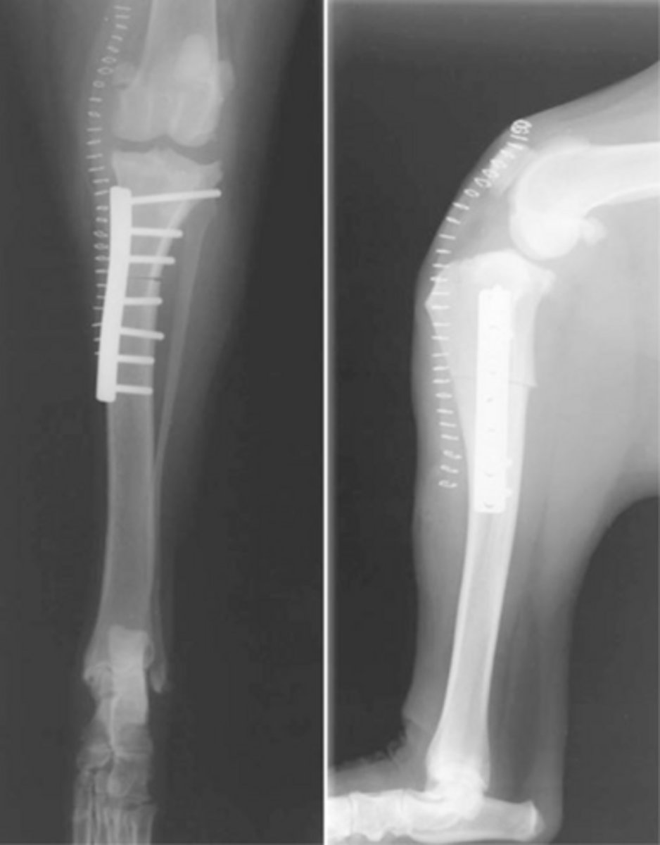 <p>what is shown here</p>