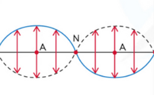 A standing wave that forms when they are two fixed ends. The fixed end always ends on a node.