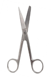 <p>Scissors</p>
