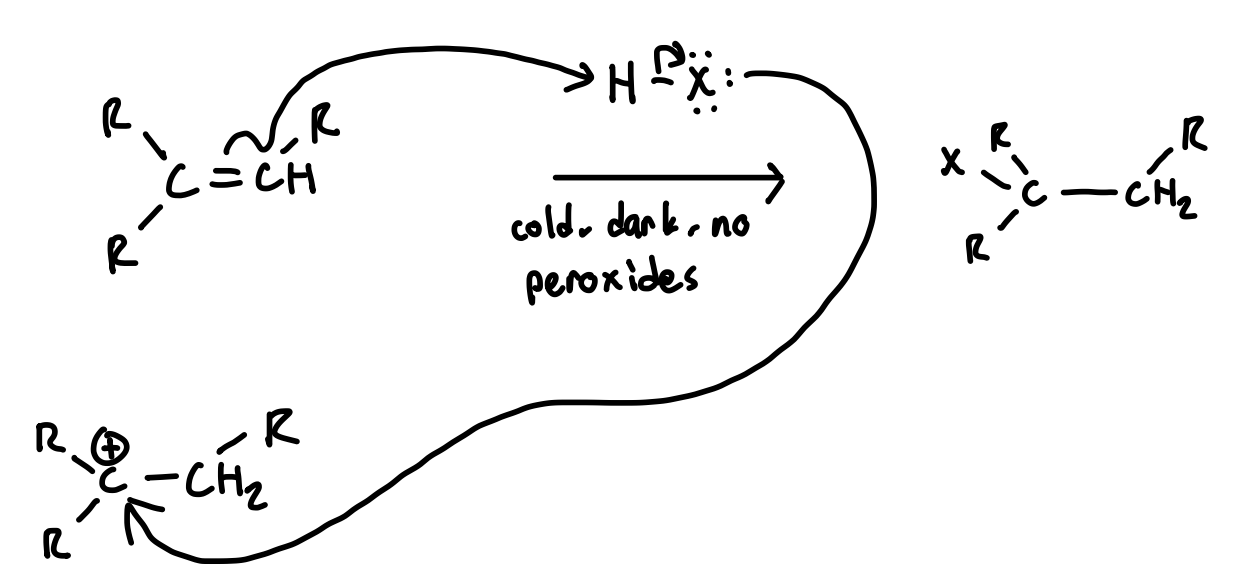 <p>8.5. - Markovnikov Addition of H &amp; X</p>