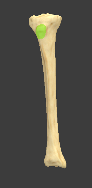 <p></p>