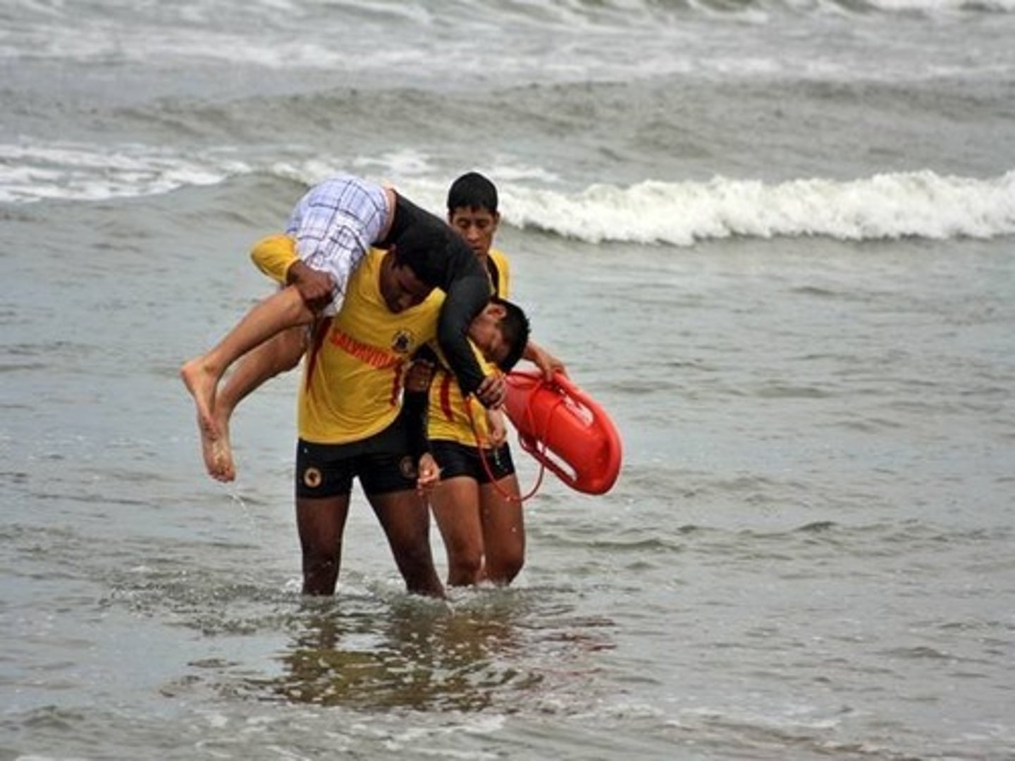 <p>to save (rescue)</p>