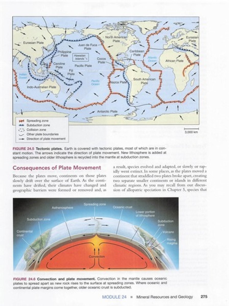 <p>The theory that the lithosphere of Earth is divided into plates, most of which are in constant motion.</p>