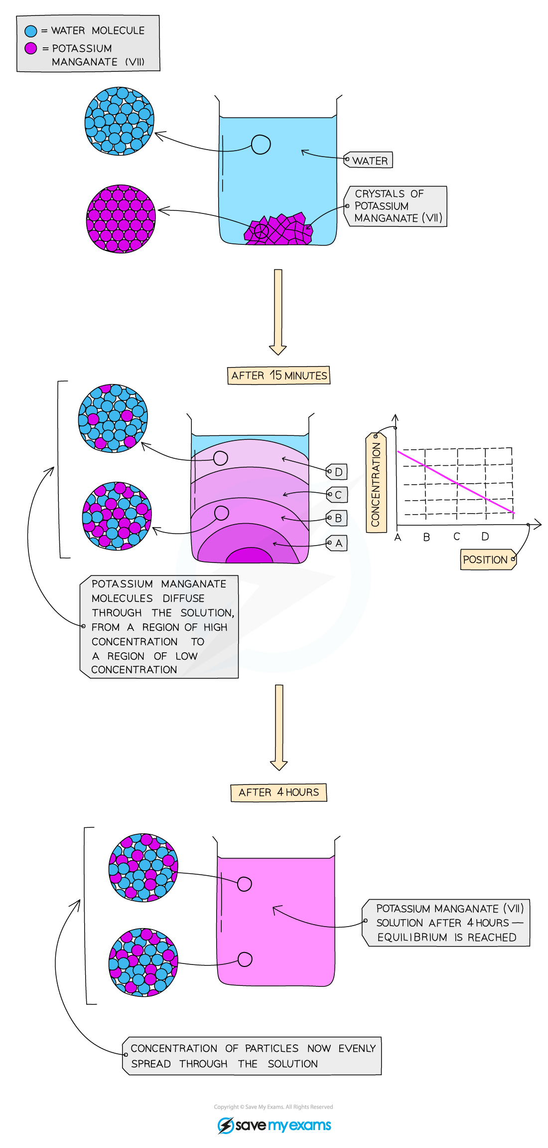 The water and potassium manganate (VII) particles are moving randomly and the particles can slide over each other so the particles can therefore easily mix together but diffusion in liquids is slower than in gases because the particles in a liquid are closely packed together and move more slowly