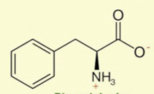 <p>has benzene ring/phenyl</p>