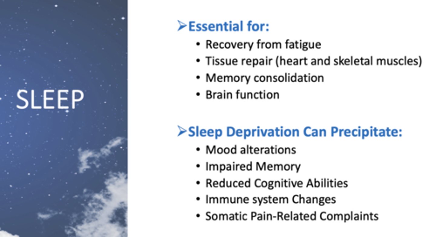 <p>Sleep</p>