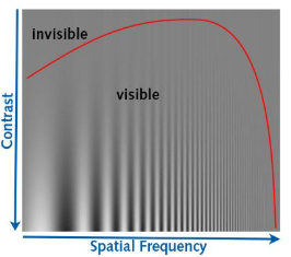 <p>task assessing ability to detect difference in colours on scales of contrast + spatial frequency</p><ul><li><p>Koh et al. (2010) found no significant difference in detection ability between autistic + neurotypical participants</p></li></ul><p></p>