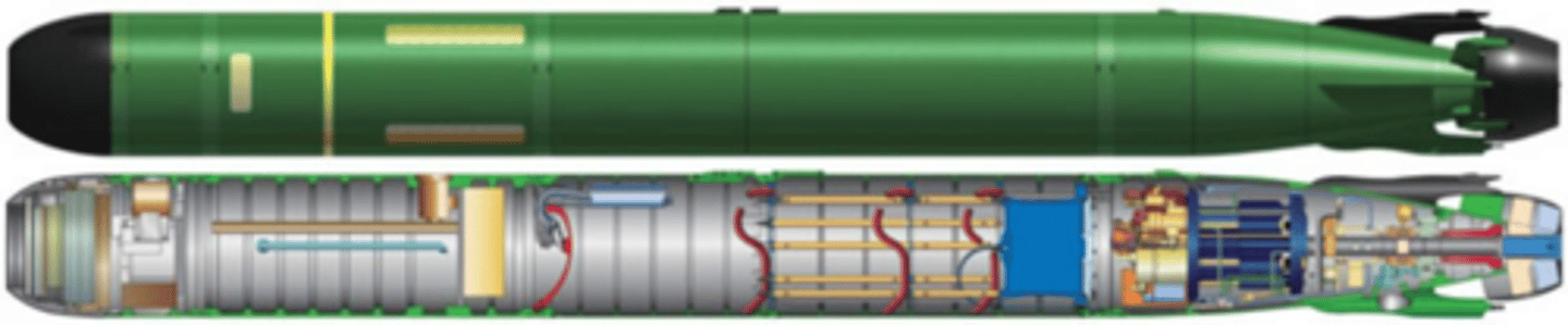 <p>Guidance and control, warhead, fuel, and tail/afterbody.</p>