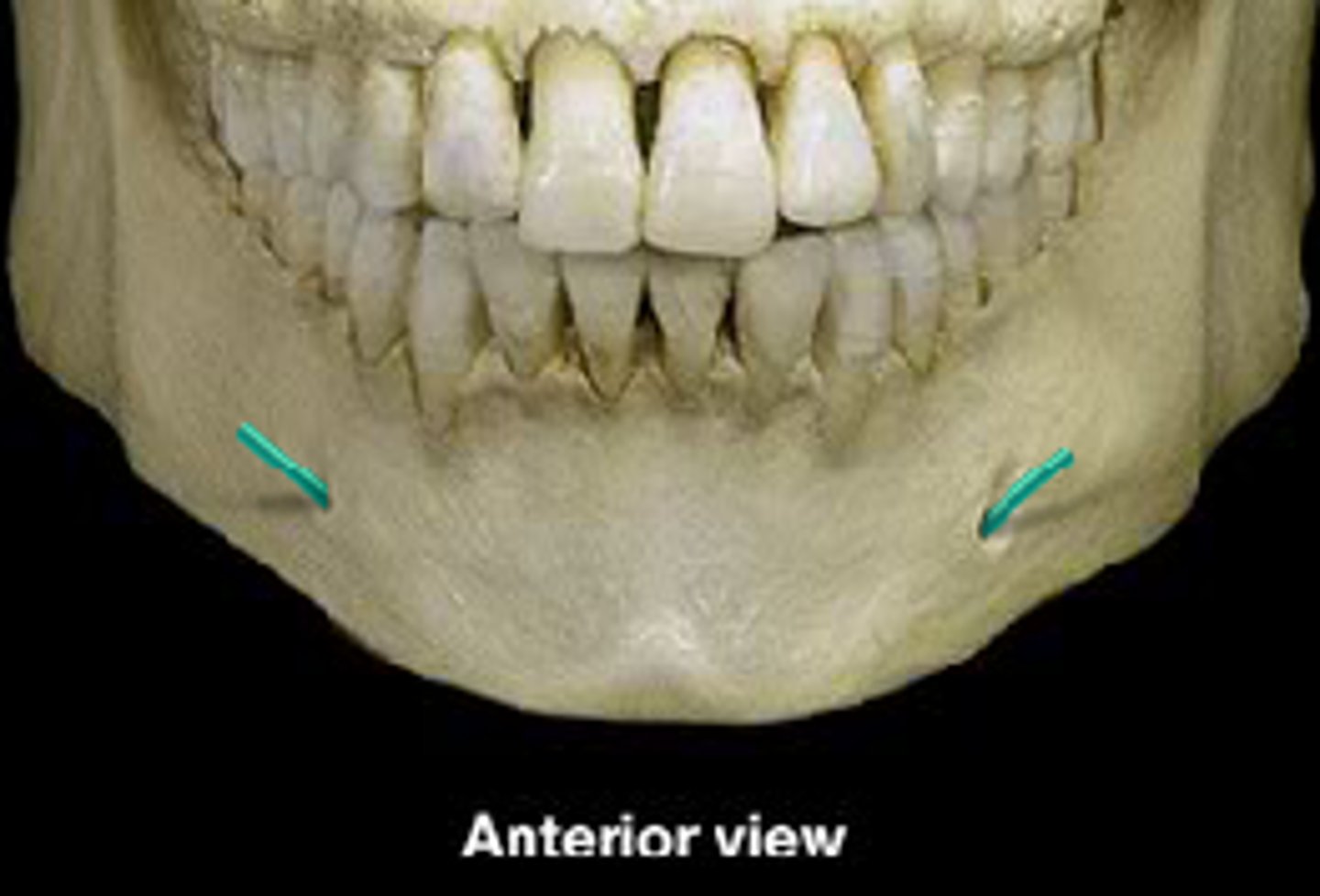 knowt flashcard image