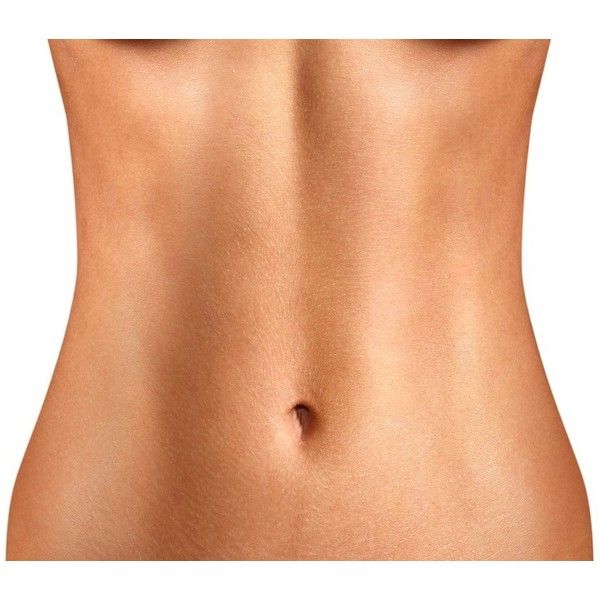 <p>Abdomen</p>