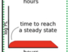 <p>PK Route </p>