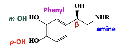 <ol><li><p>the basic amine or positively charged amine (NHR) forms a salt bridge </p></li><li><p>the phenyl ring forms pi-pi interactions</p></li><li><p>the para-catechol forms a hydrogen bond </p></li><li><p>the meta-catechol does not participate </p></li><li><p>the beta hydroxyl forms a hydrogen bond</p></li></ol><p></p>