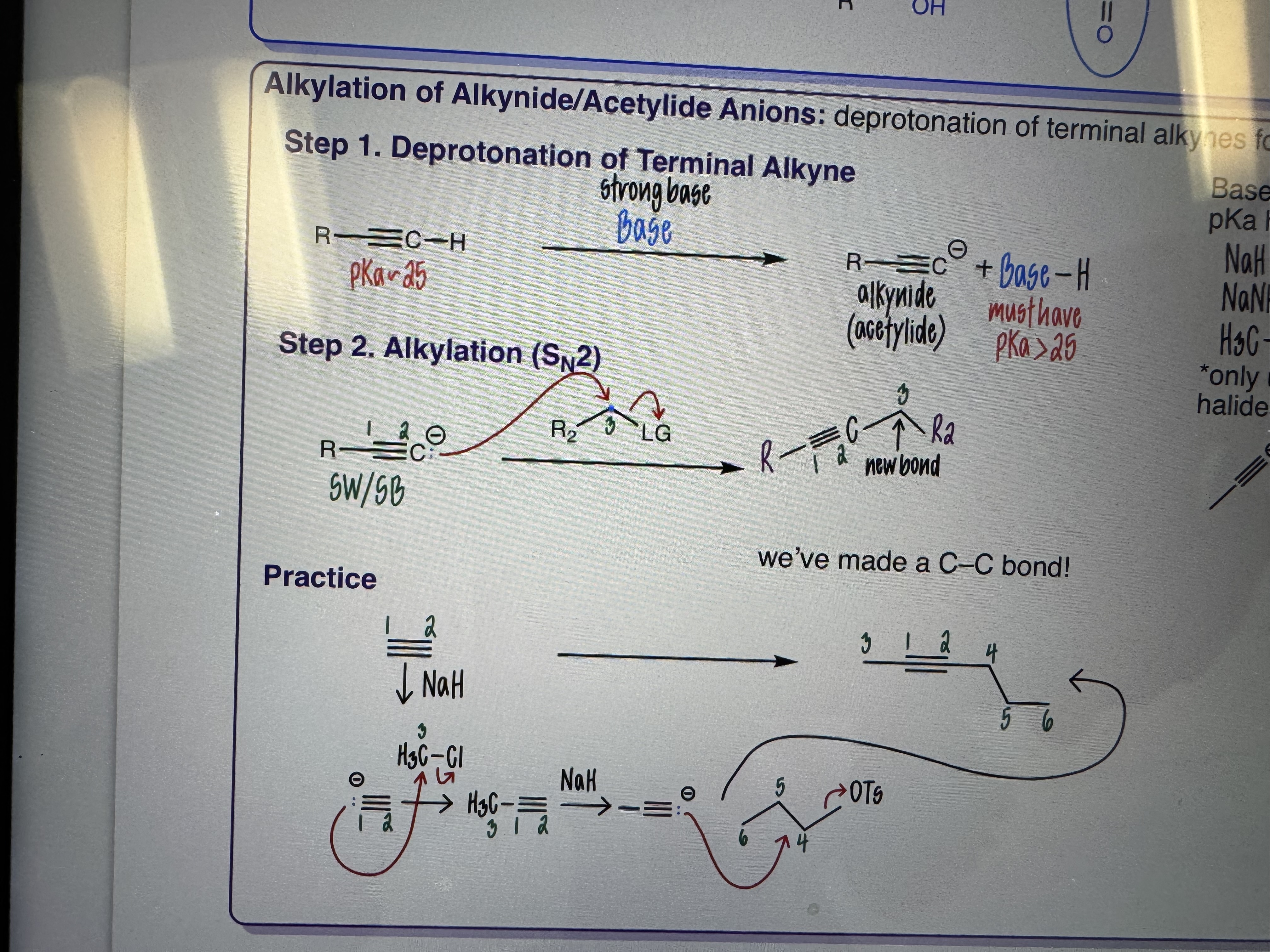 <p>Alkylation of Alkynide/Acetylide Anions</p>