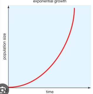<p>intrinsic growth rate&nbsp;(r)</p>