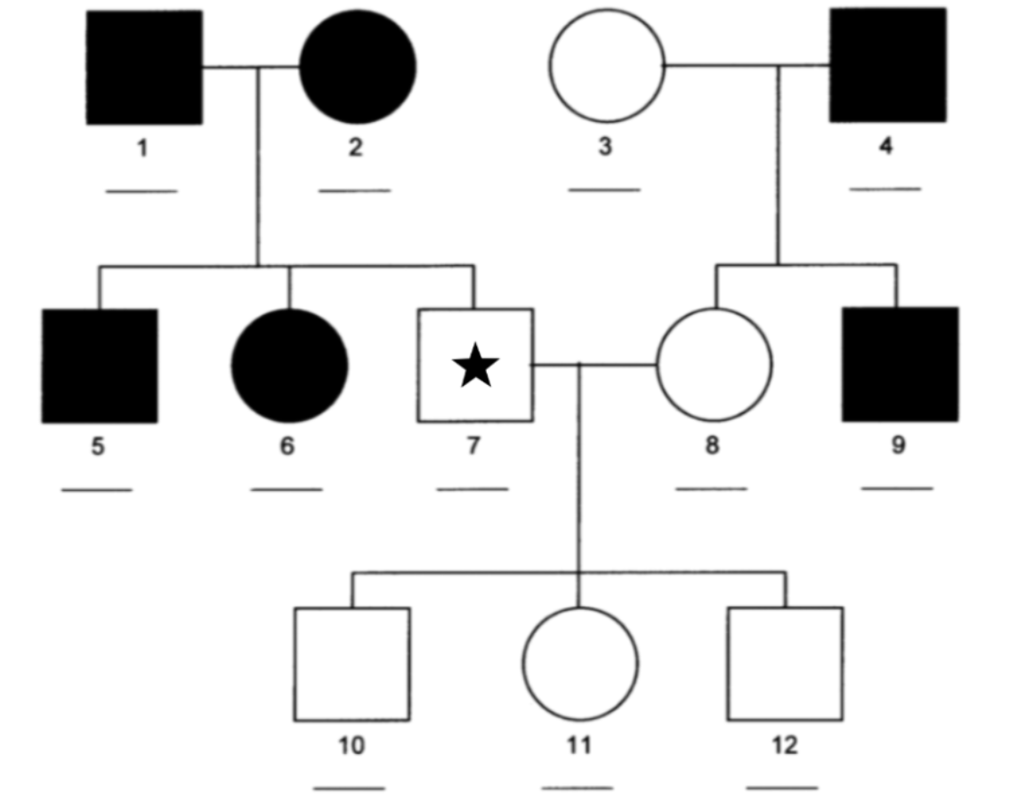 <p><span>What is the genotype of the individual marked by a star?</span></p>