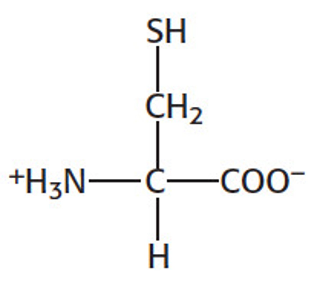 <p>Formed between a negative Oxygen on the acidic carboxyl group (negative due to OH bond being broken up) and a positive Hydrogen on basic amine group.<br>The bonds are relatively strong but can be split by changing the pH.</p>